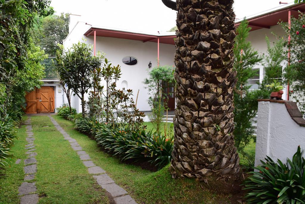 Coyoacan La Casa De Las Magnolias酒店 外观 照片