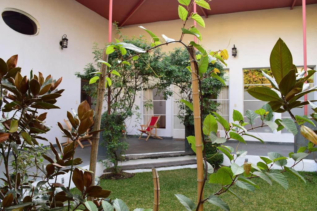 Coyoacan La Casa De Las Magnolias酒店 外观 照片