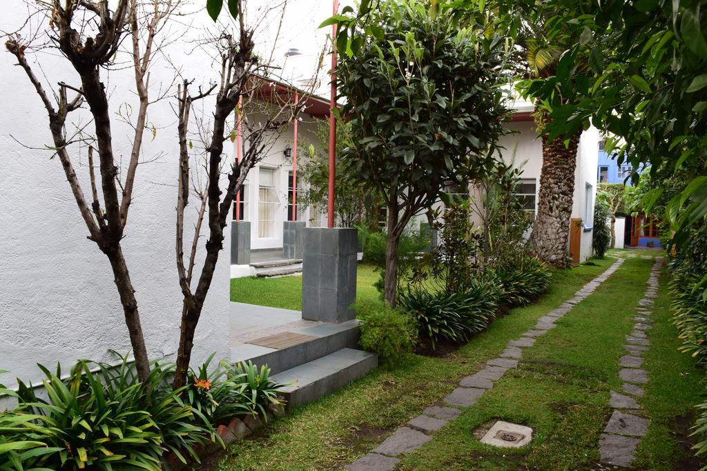 Coyoacan La Casa De Las Magnolias酒店 外观 照片